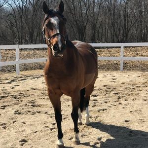 Meet your Posher, Denise